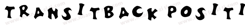 TransitBack Positiv字体转换